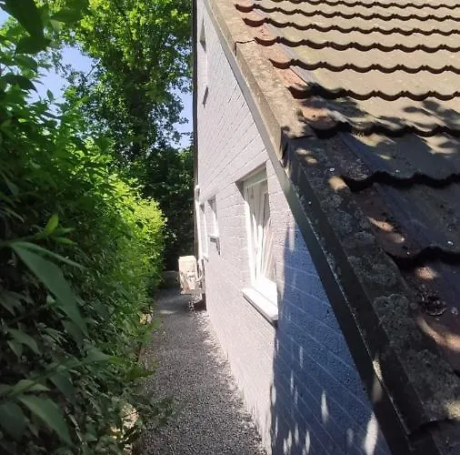 Vakantiewoning Leef Zuiden Holiday home